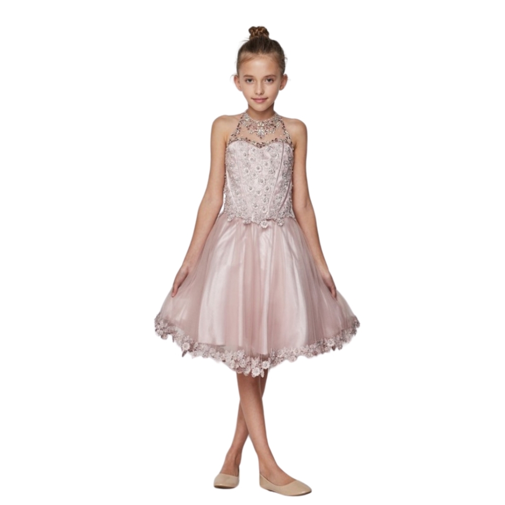 Dusty Rose Beaded Sequin Short Dress